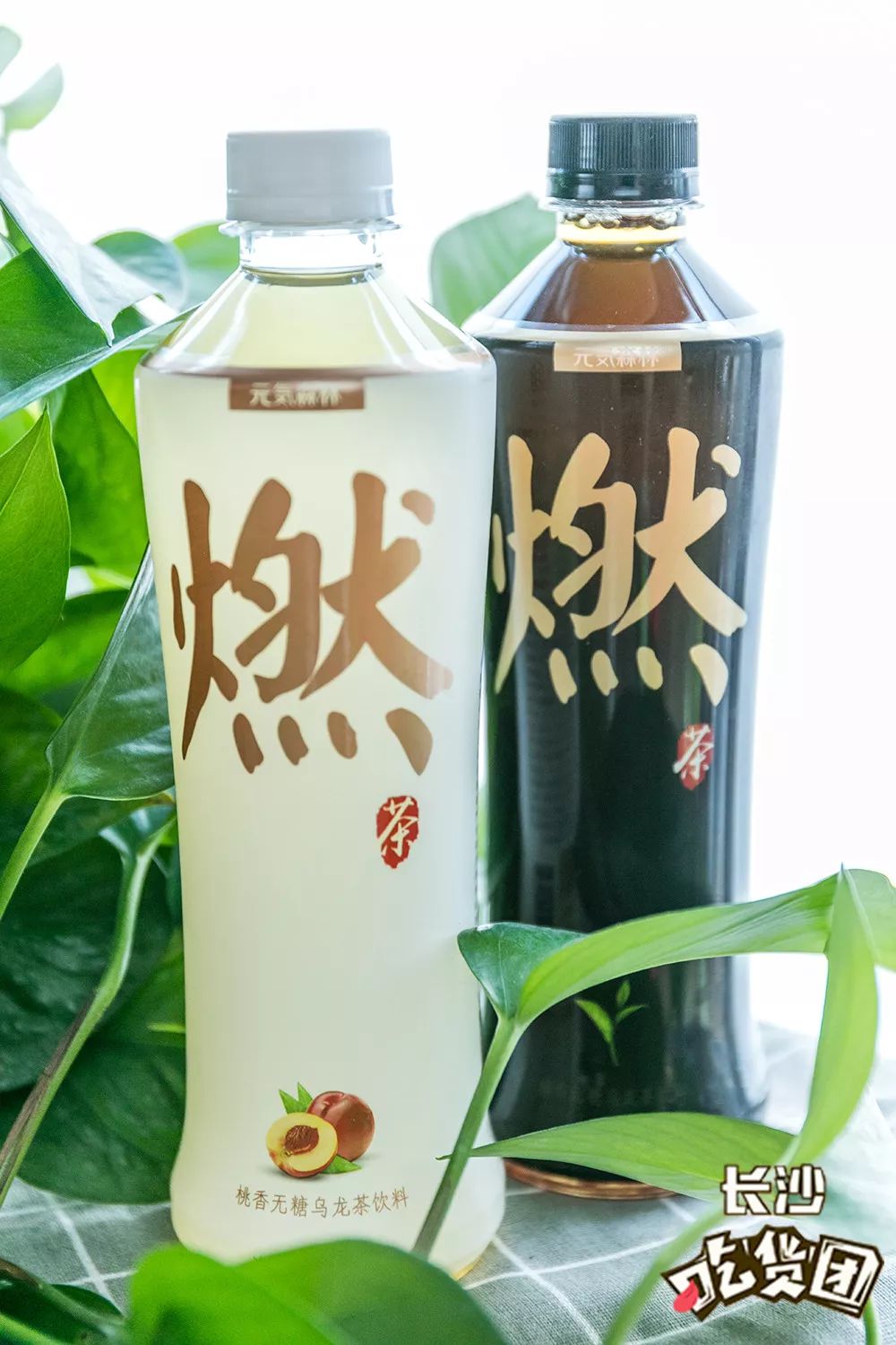 新时代茶饮文化独特魅力，燃茶最新探索之旅