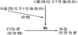 4949澳门开奖现场+开奖直播10.24,稳定设计解析策略_3D10.988