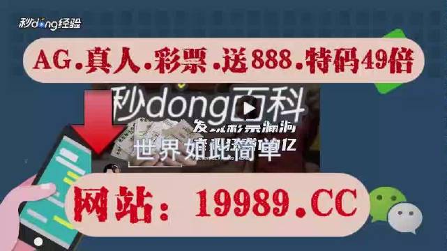 新2024年澳门天天开好彩,最新核心解答定义_X63.91