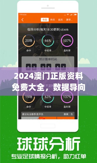 2024新澳兔费资料琴棋,数据分析引导决策_顶级版49.951