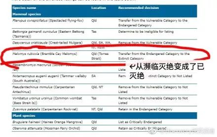 新澳历史开奖最新结果查询今天,精细化方案实施_RemixOS73.865