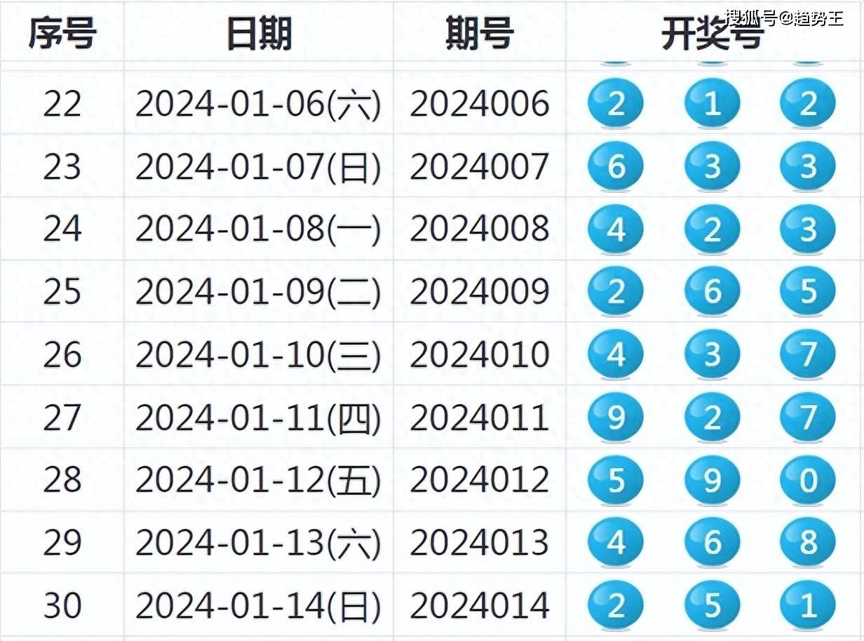 2024新澳开奖记录,适用解析计划方案_S66.239