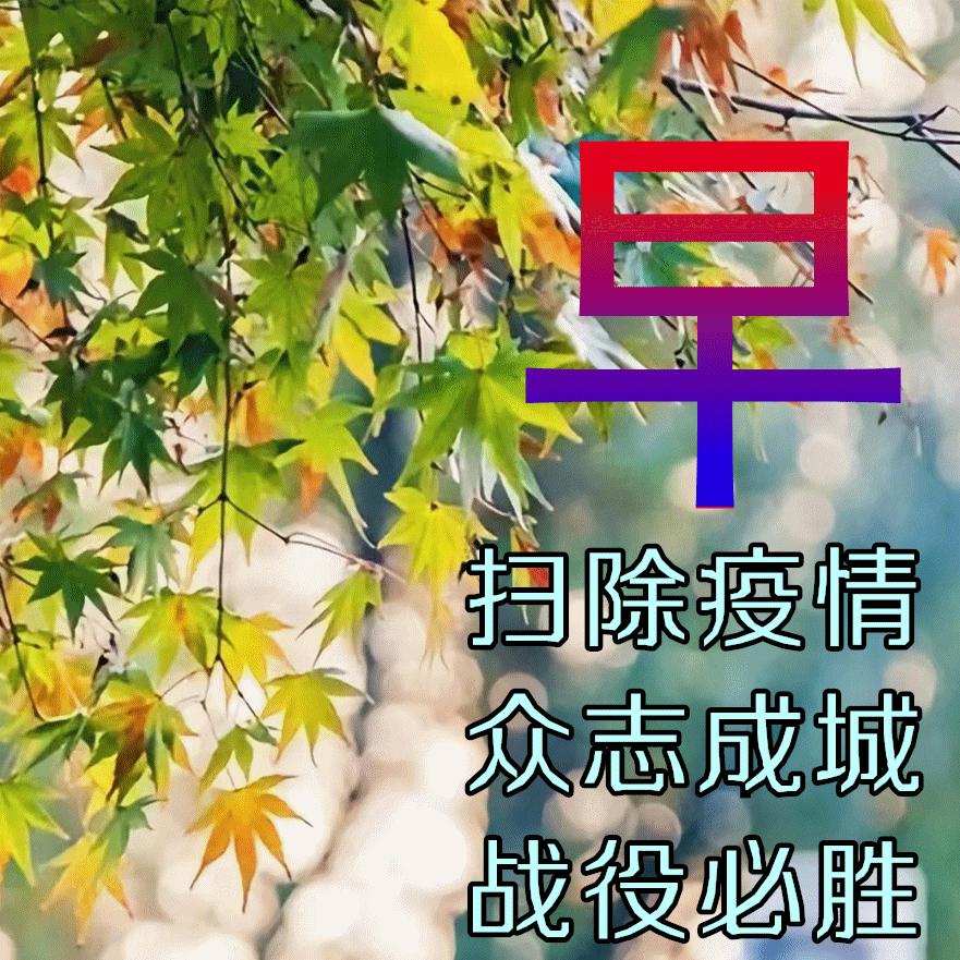 全球抗击新冠病毒的挑战与前景，最新疫情分析