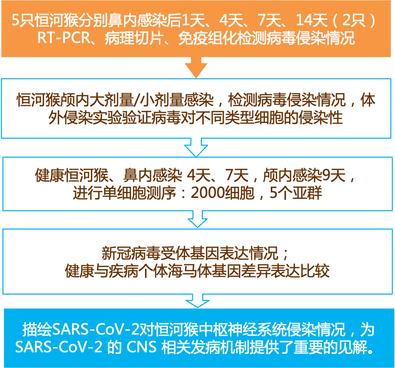 新奥最精准资料大全,实效性解析解读_扩展版86.816