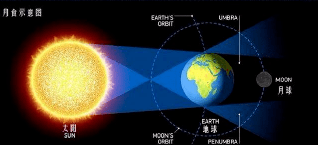 今晚必出三肖,全局性策略实施协调_CT95.851