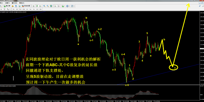 今晚澳门特马必开一肖,理论解答解释定义_FHD版54.130