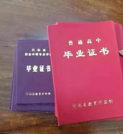 最新假证案深度揭秘，犯罪真相与社会反思