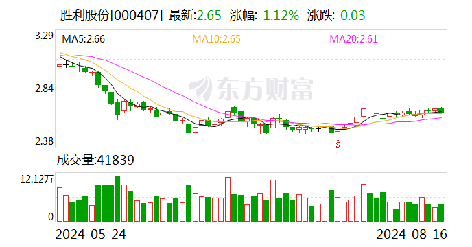 胜利股份股票最新动态全面解析