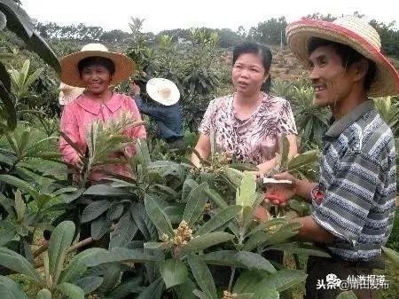 林海股份股票最新动态全面解读